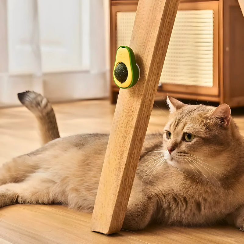 Abacate De Brinquedo Com Catnip Para Gatos